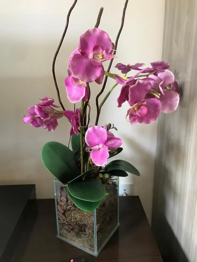Estúdio privado próximo à Blumenau Gaspar Quarto em Acomodações Particulares